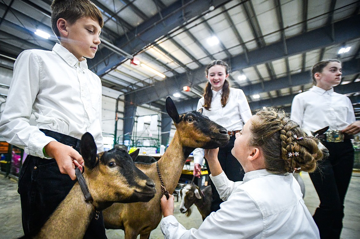 From left, Garrett Brist, Magdolyn Russell, Naomi Brist and Emma Brist wait with their goats before their turns at junior and junior novice goat showmanship at the Northwest Montana Fair on Thursday, Aug. 15. (Casey Kreider/Daily Inter Lake)