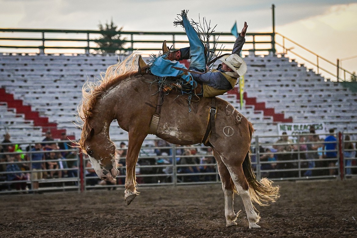 Tristan Hansen, from Dillon, holds onto his horse Vitalix Honcho during bareback riding at the PRCA Rodeo at the Northwest Montana Fair & Rodeo on Thursday, Aug. 15. (Casey Kreider/Daily Inter Lake)