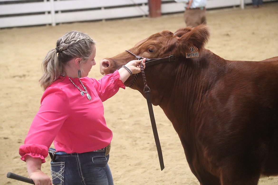 Cami Williams checks to make sure her steer is exhibiting proper form during a showmanship competition at the Bonner County Fair on Thursday.