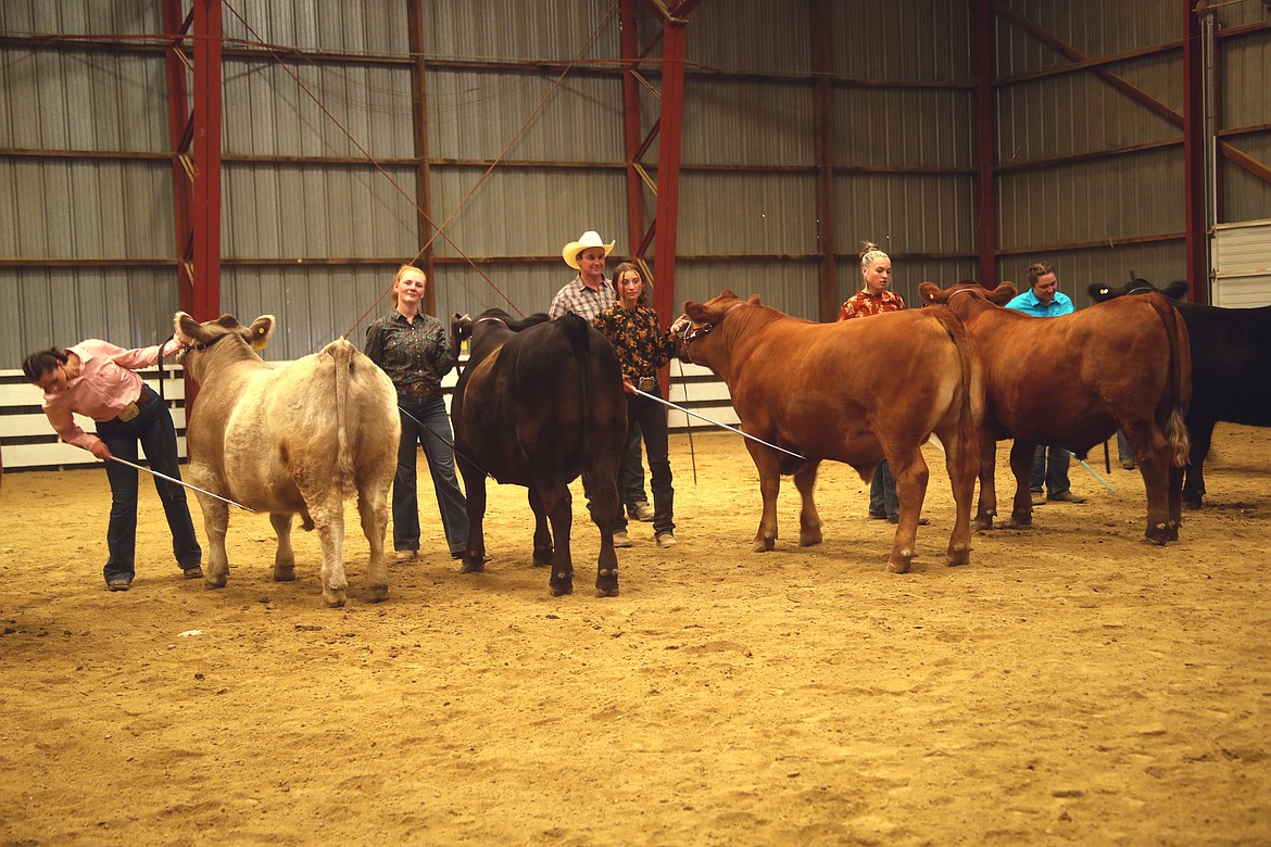 Competitors in a steer competition at the Bonner County Fair wait to hear the results.