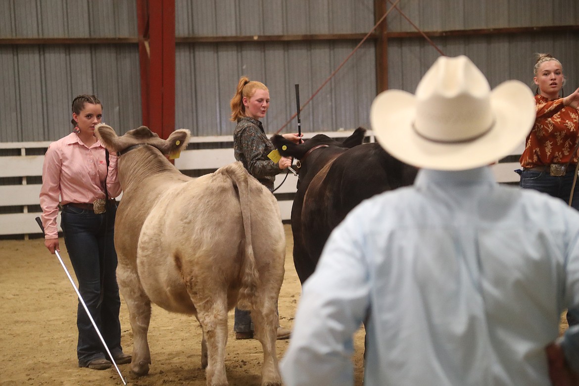 Kaylee McCown watches a judge as she competes with her steer, Trump, in the senior showmanship competition at the Bonner County Fair on Thursday.