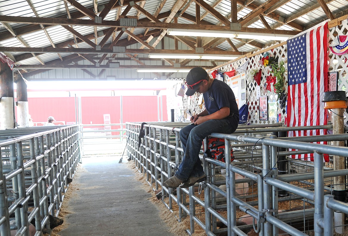 Bing Dawson finds a spot to make some notes on how his pig is doing as he takes part in the Bonner County Fair on Thursday.