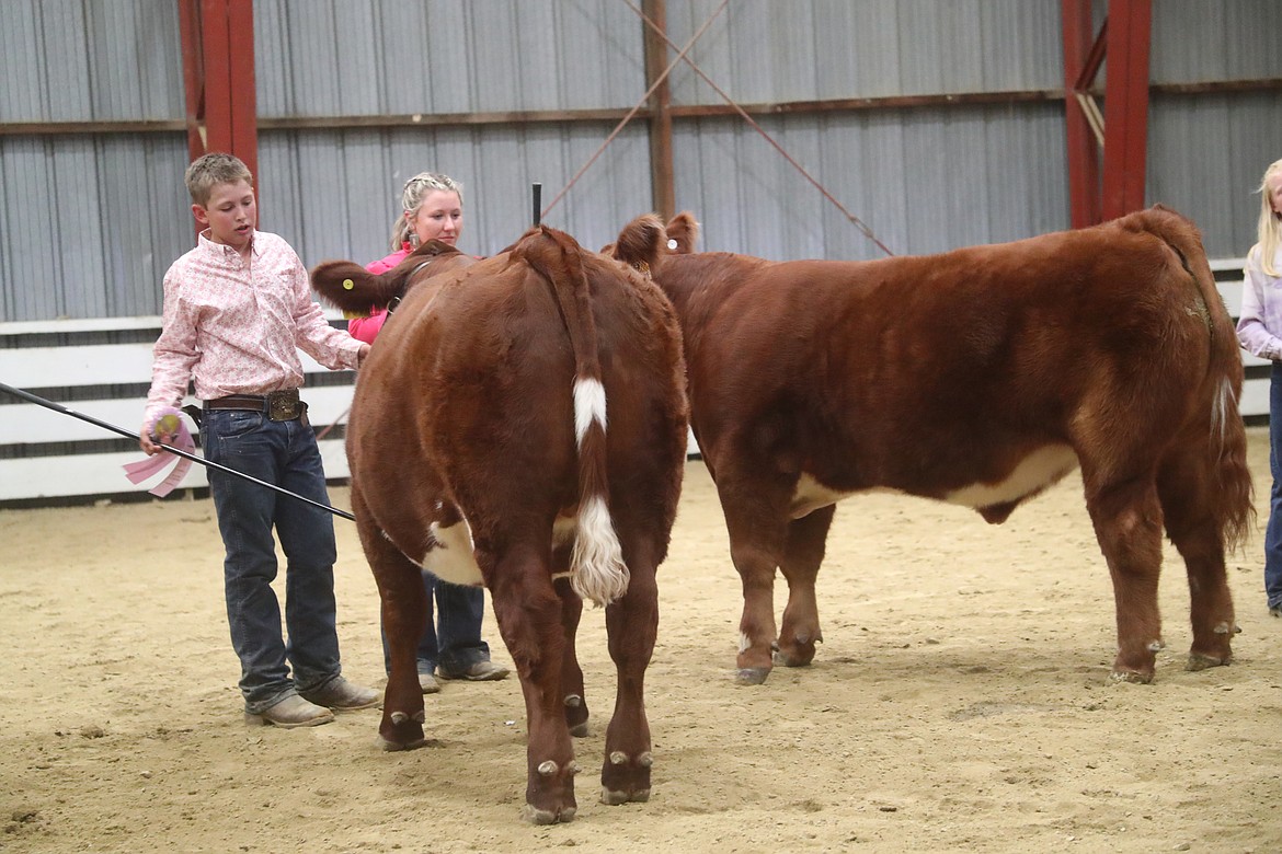 Brayden Ducken and Kami Williams take part in a showmanship competition at the Bonner County Fair on Thursday.