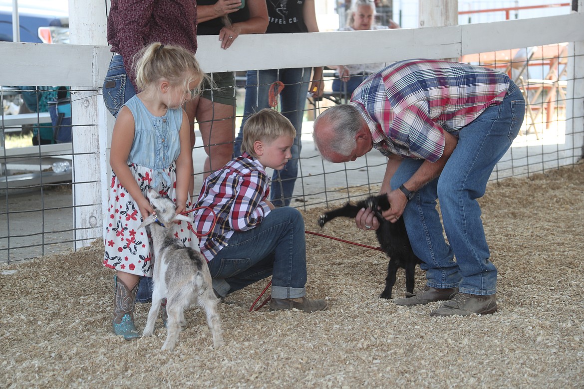 A judge helps a pair of competitors at the Bonner County Fair on Thursday.