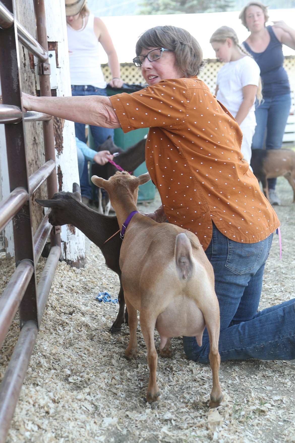 Cassie Dekker watches the action during a goat competition at the Bonner County Fair on Thursday.