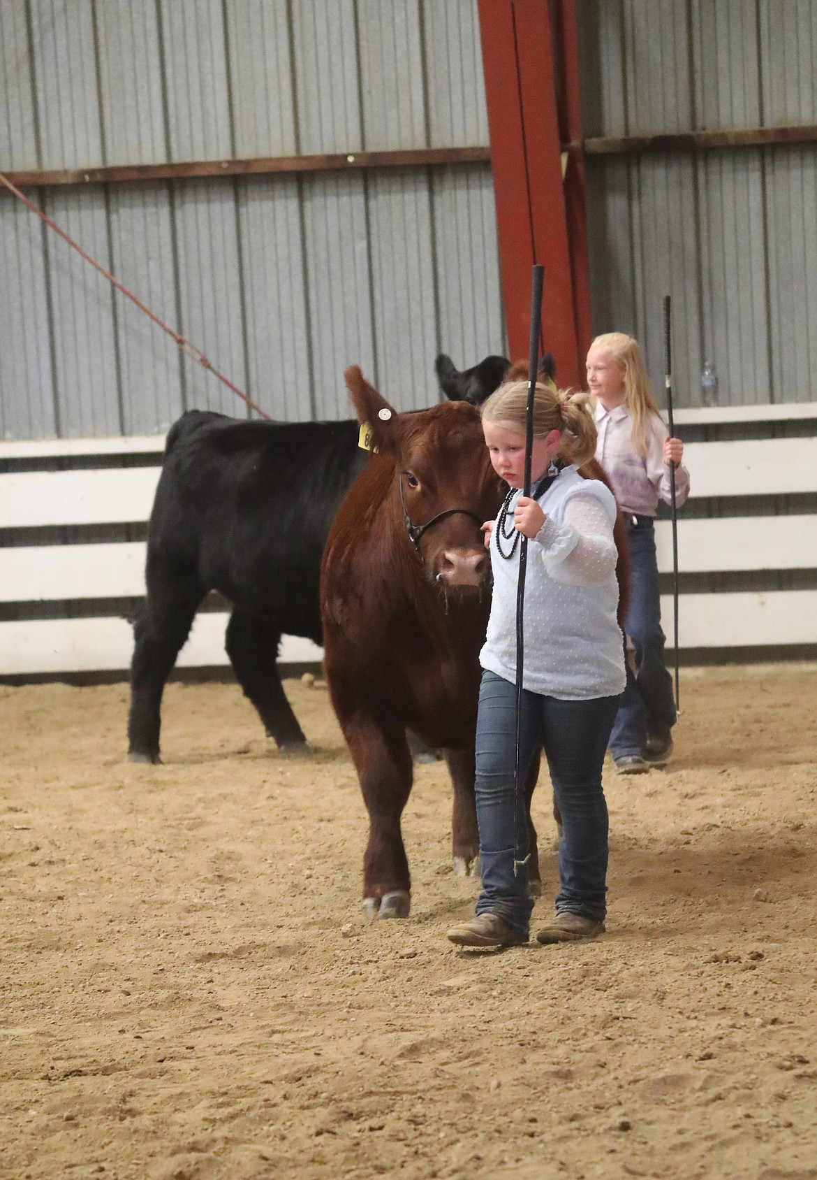 A young 4-H'er competes in an event at the Bonner County Fair on Thursday.