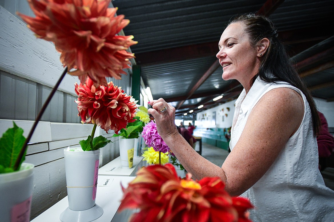 Dacia Rutske checks out rows of dahlias for judging at the dahlia show at the Northwest Montana Fair & Rodeo on Friday, Aug. 16. (Casey Kreider/Daily Inter Lake)