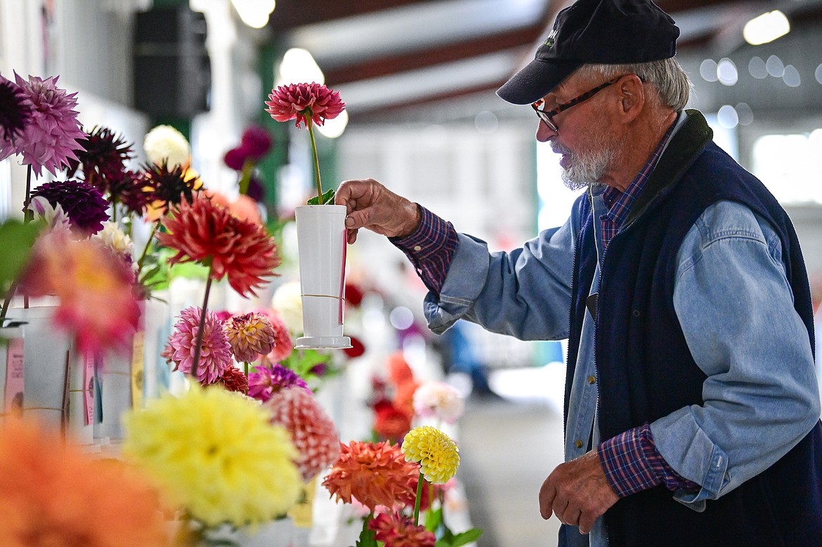 Mike Valler, head judge with the Montana Dahlia Society, judges dahlias in the dahlia show at the Northwest Montana Fair & Rodeo on Friday, Aug. 16. (Casey Kreider/Daily Inter Lake)