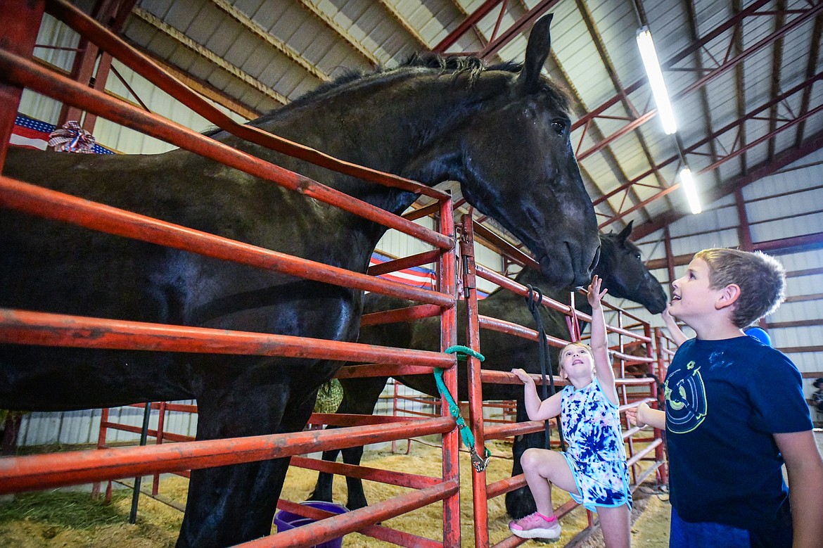 Maizy and Curtis Kimmet try to reach the muzzle of a giant draft horse named Huckleberry inside the draft horse barn at the Northwest Montana Fair & Rodeo on Friday, Aug. 16. (Casey Kreider/Daily Inter Lake)