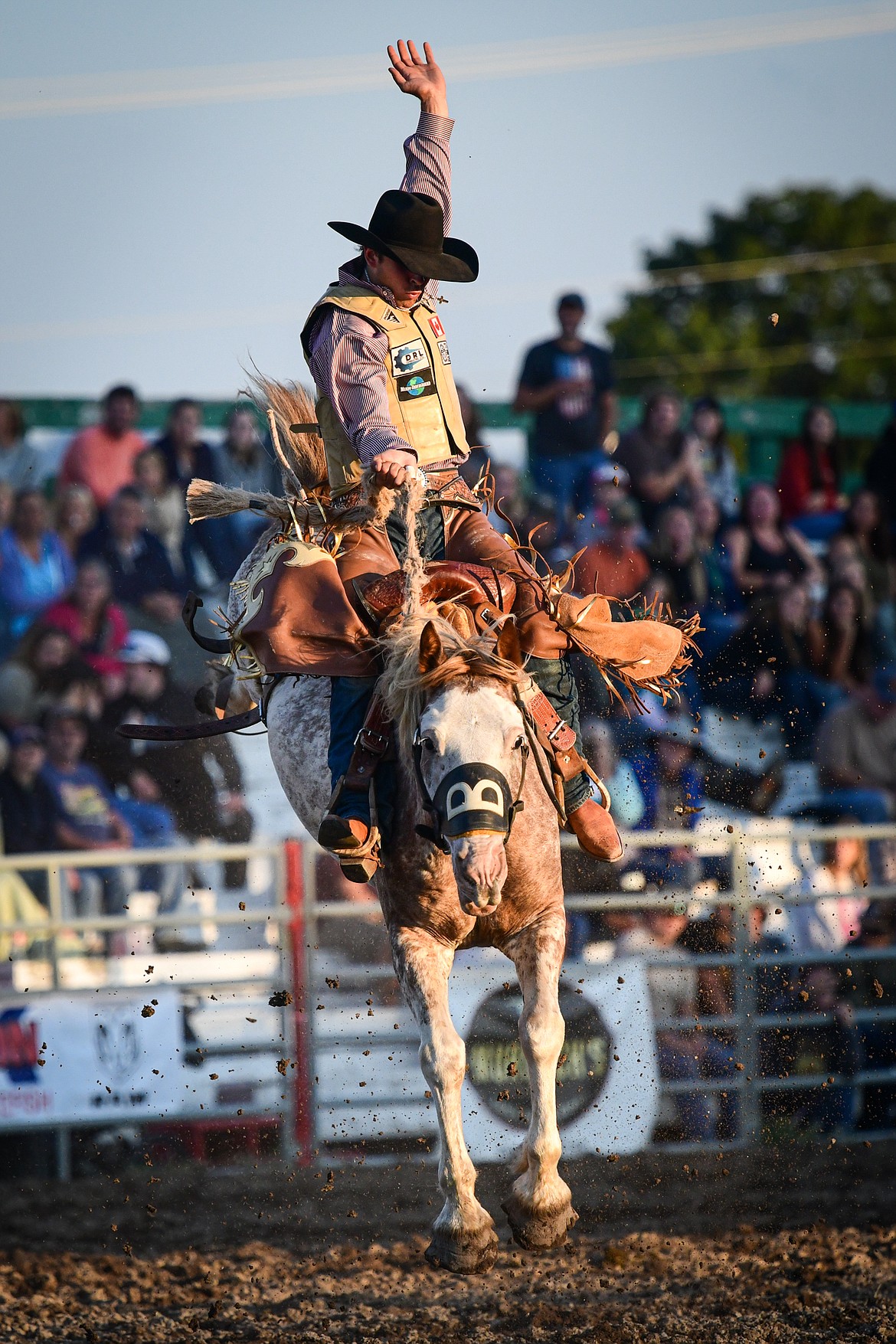 Kyle William Wanchuk rides Tupelo during saddle bronc riding at the PRCA Rodeo during the Northwest Montana Fair & Rodeo on Friday, Aug. 16. (Casey Kreider/Daily Inter Lake)