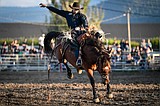 Tickets on sale for Northwest Montana Fair rodeo