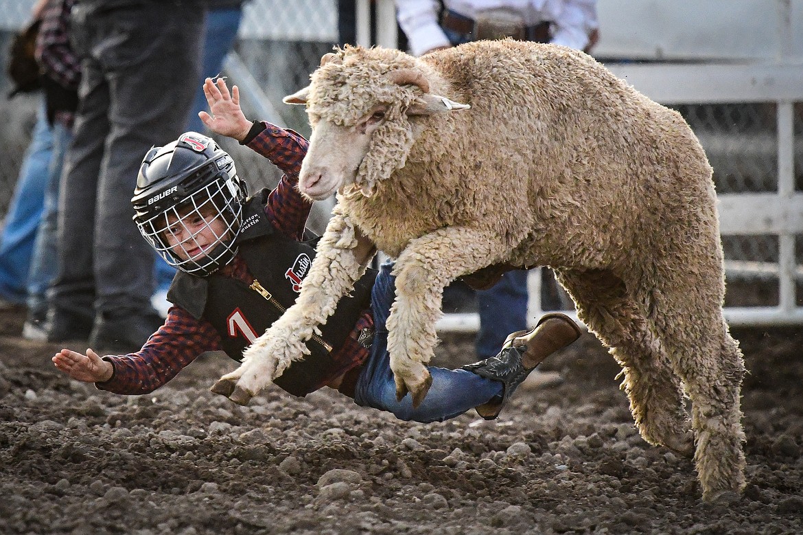 A mutton buster falls from a sheep at the PRCA Rodeo during the Northwest Montana Fair & Rodeo on Friday, Aug. 16. (Casey Kreider/Daily Inter Lake)