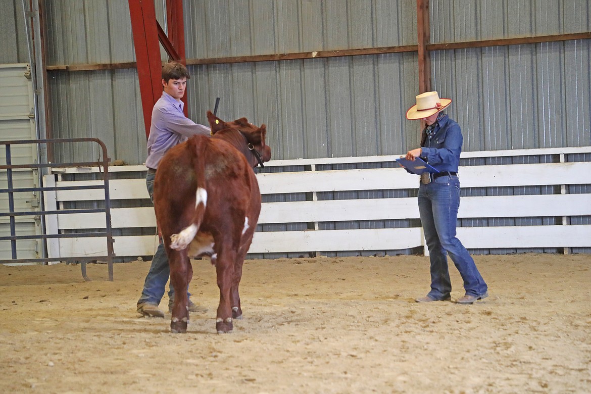 A competitor takes part in a round robin showmanship competition at the Bonner County Fair on Friday.