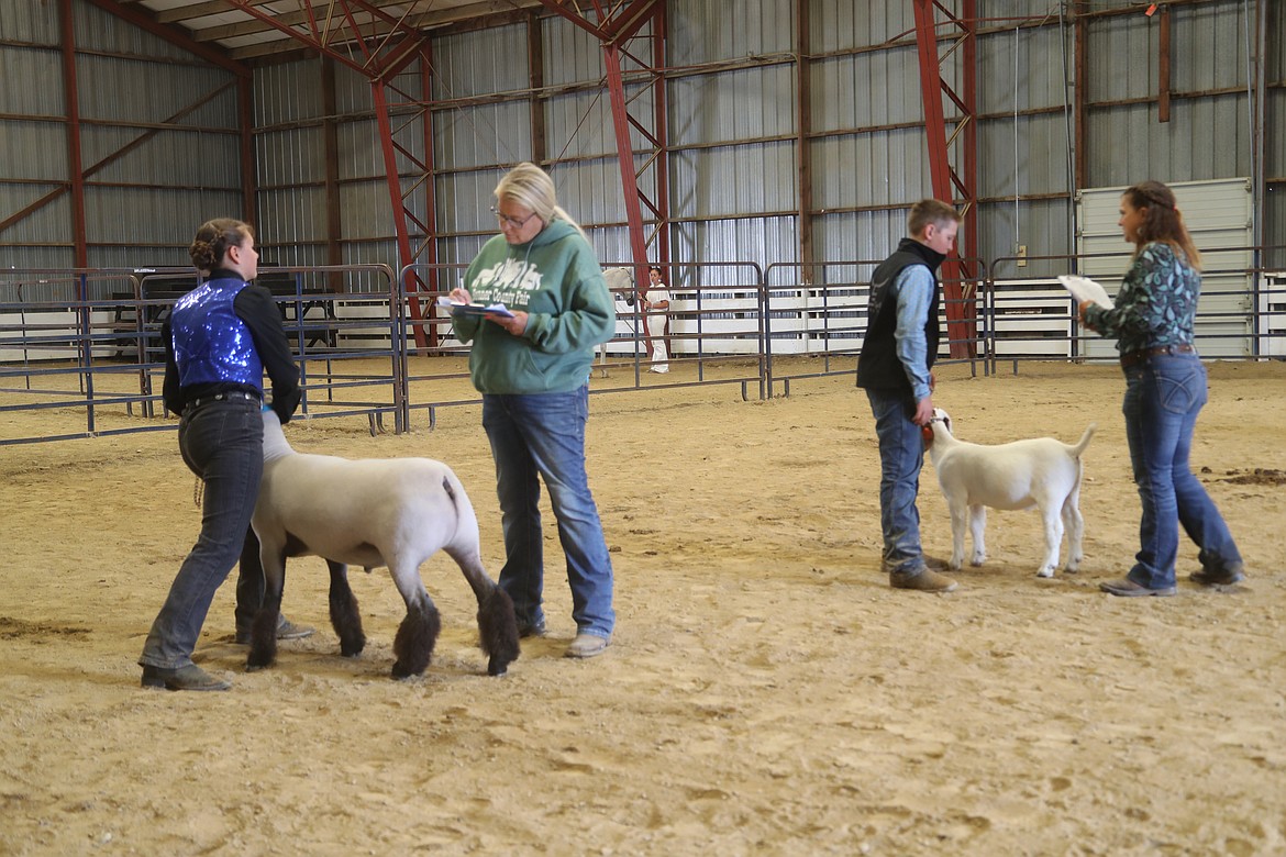 Competitors take part in a round robin showmanship competition at the Bonner County Fair on Friday.