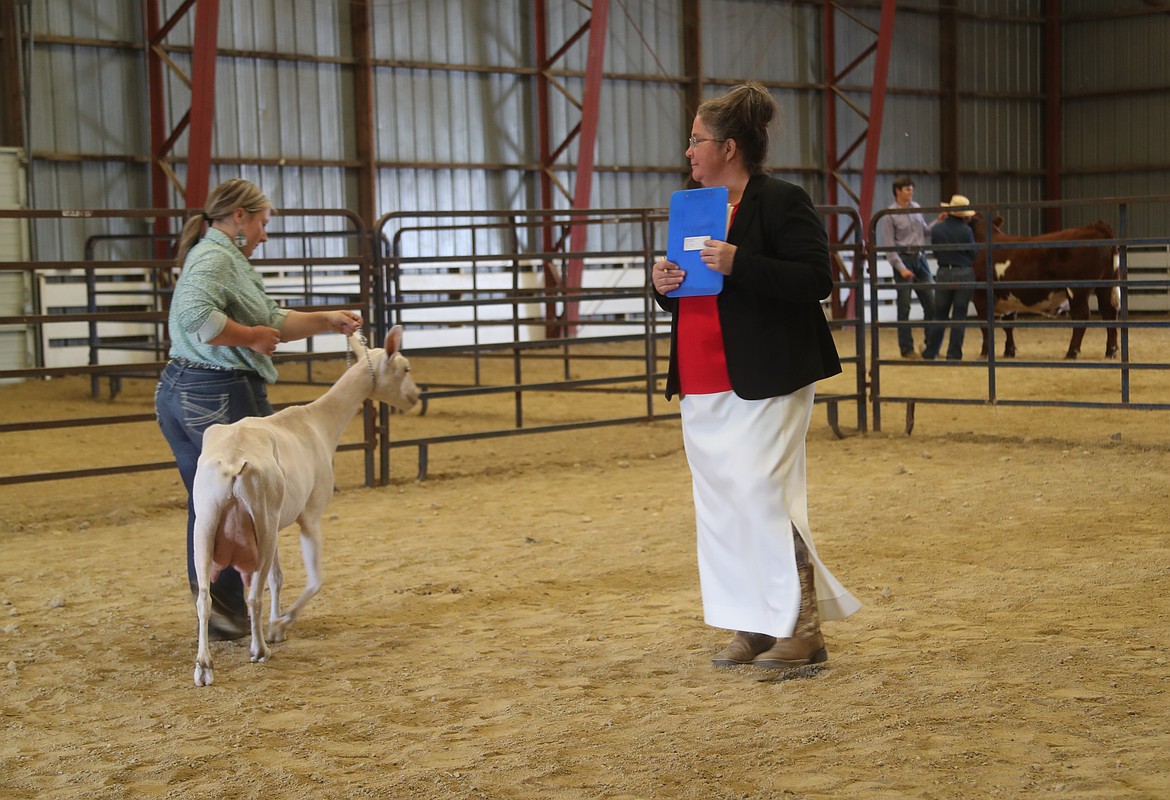 Kami Williams takes part in a showmanship competition at the Bonner County Fair on Friday as judge Anita Palmer looks on.