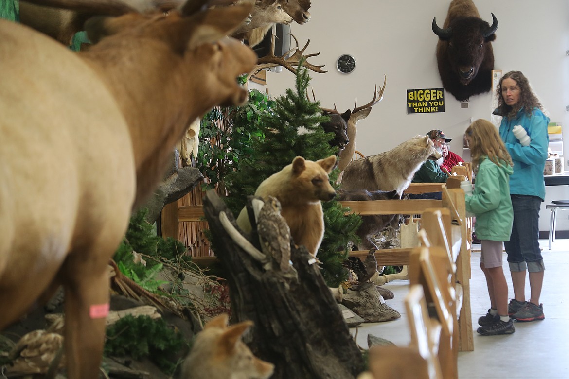 Laura and Hanna Pinke explore the exhibits at the Ed Lehman Wildlife Center while taking in the fun at the Bonner County Fair on Friday.