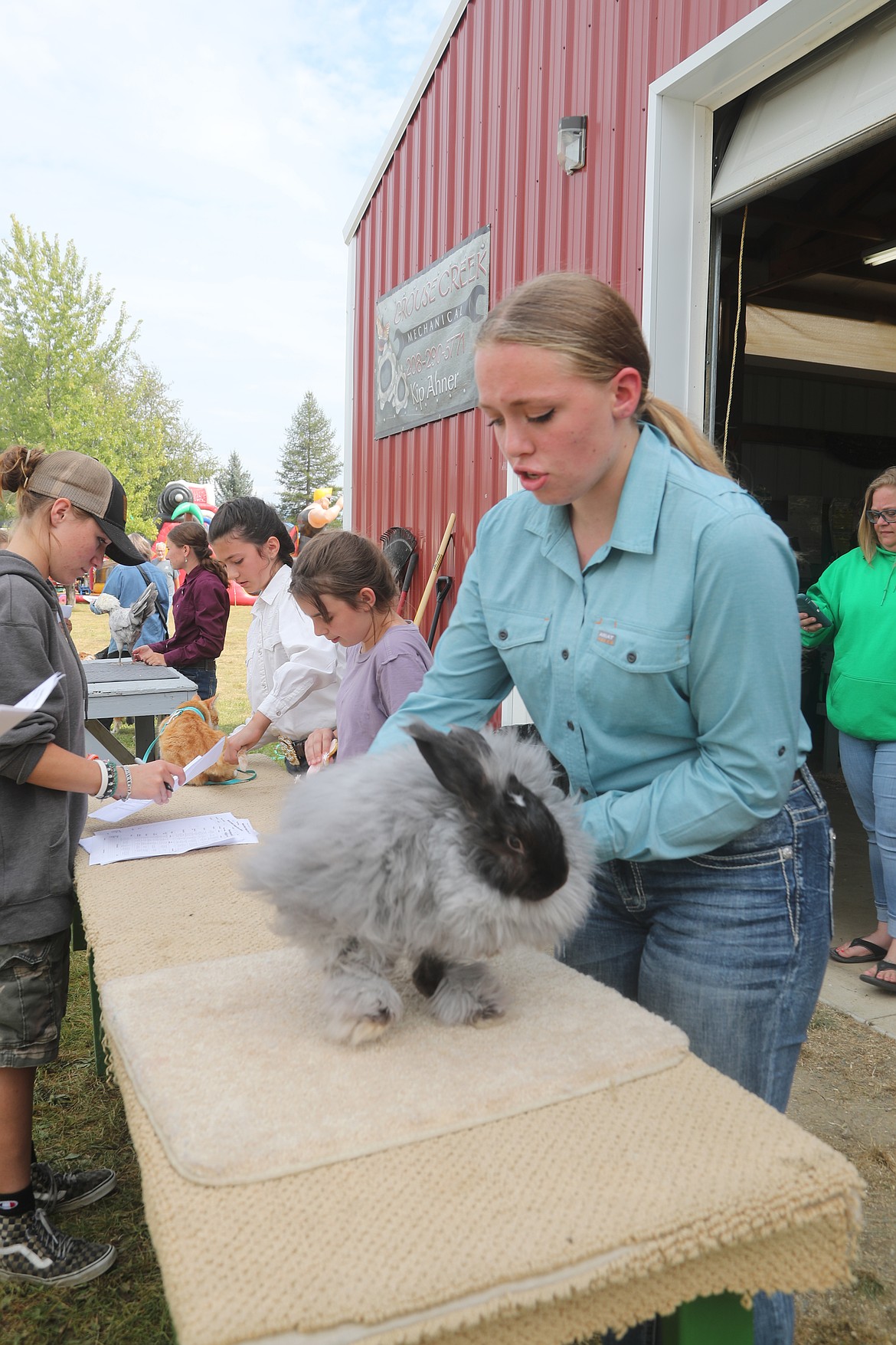 Emerson Kruse, Hanna Beard and Zoe Hunt demonstrate how to show a cat, gecko and a rabbit as they take part in the Bonner County Fair on Friday.