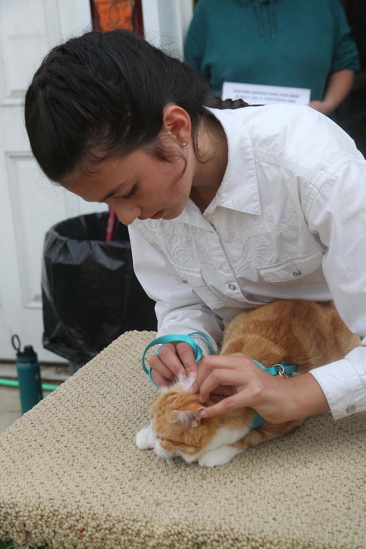 Emerson Kruse demonstrates how to look over a cat during a showing competition at the Bonner County Fair on Friday.