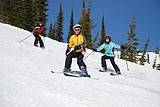 NIMSEF now accepting applications for upcoming winter season
