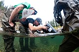 UM announces $5M endowment to create chair in fisheries science for wildlife biology program