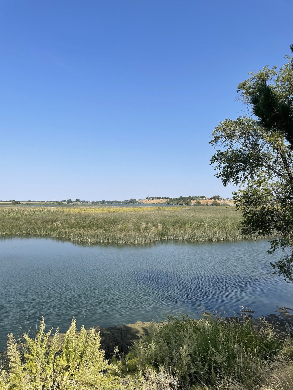 A view from the bank of Moses Lake at Marina Park Saturday afternoon.