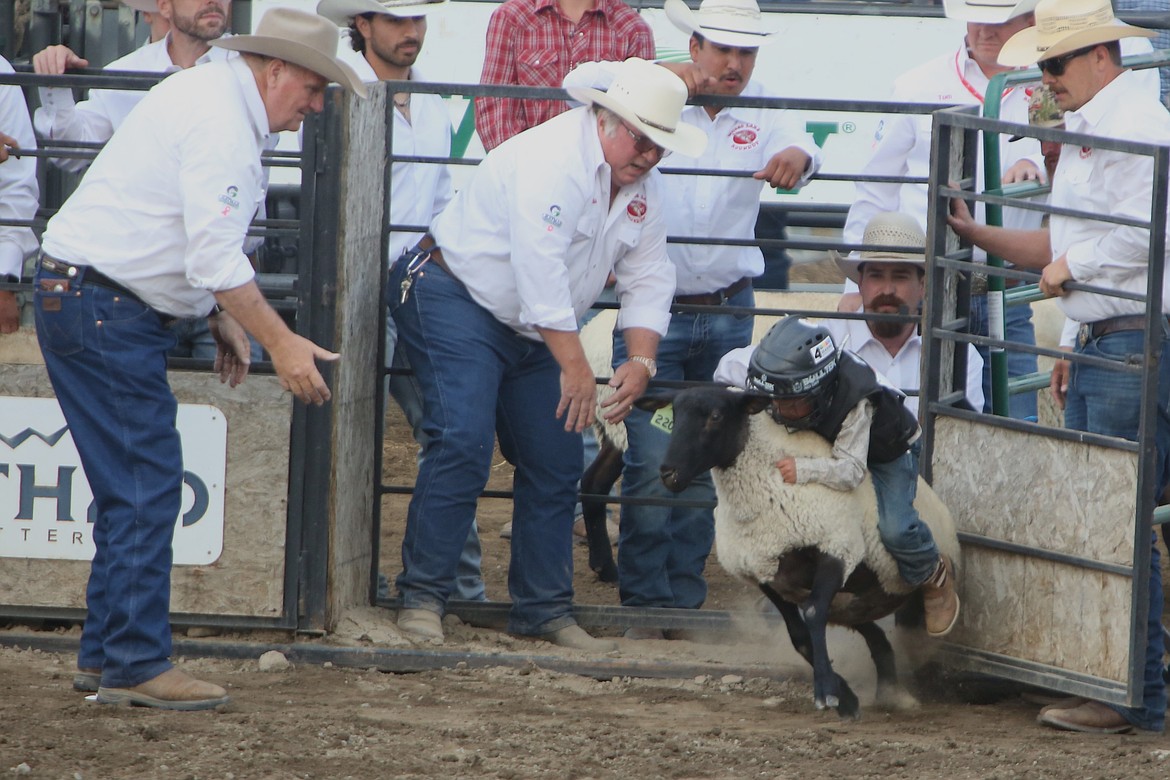 Rodeo festivities at the Moses Lake Roundup began with mutton bustin’ each night.