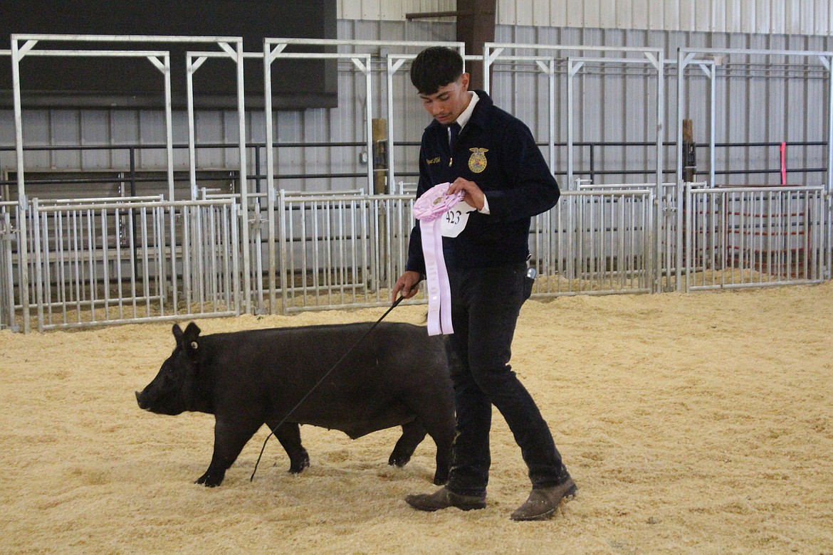 A Future Farmers of America swine fitting and showing competitor checks out his reserve grand champion ribbon as he leaves the arena at the Grant County Fair.