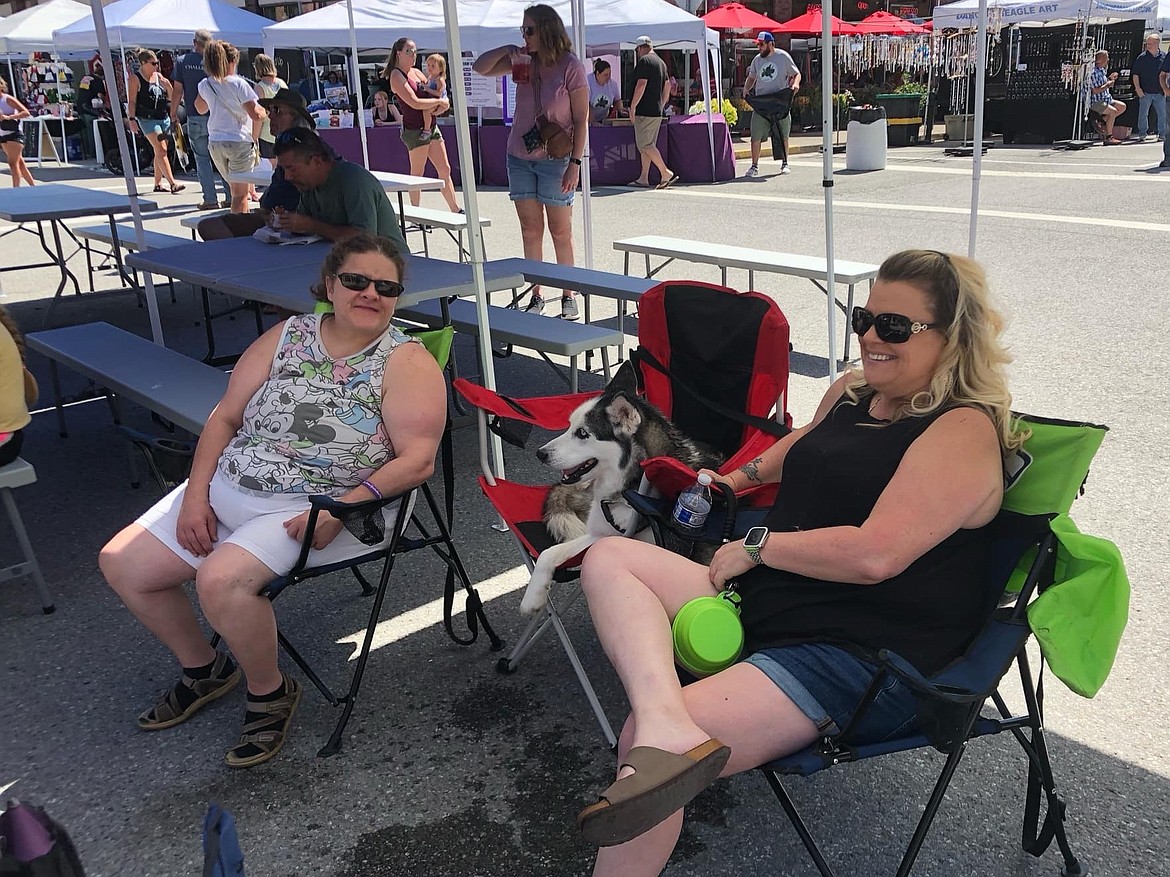 A husky takes in the sights and sounds from a camp chair along with his family, keeping cool in the shade Sunday at the Wallace Huckleberry Festival.