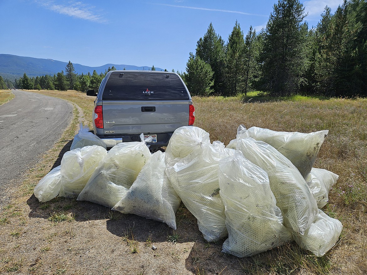 Courtesy photo
Bags of plastic netting cleaned from the woods at Farragut State Park by the Lake City, Post Falls and Timberlake high school cross country teams from a 16-acre area as a community service this summer.