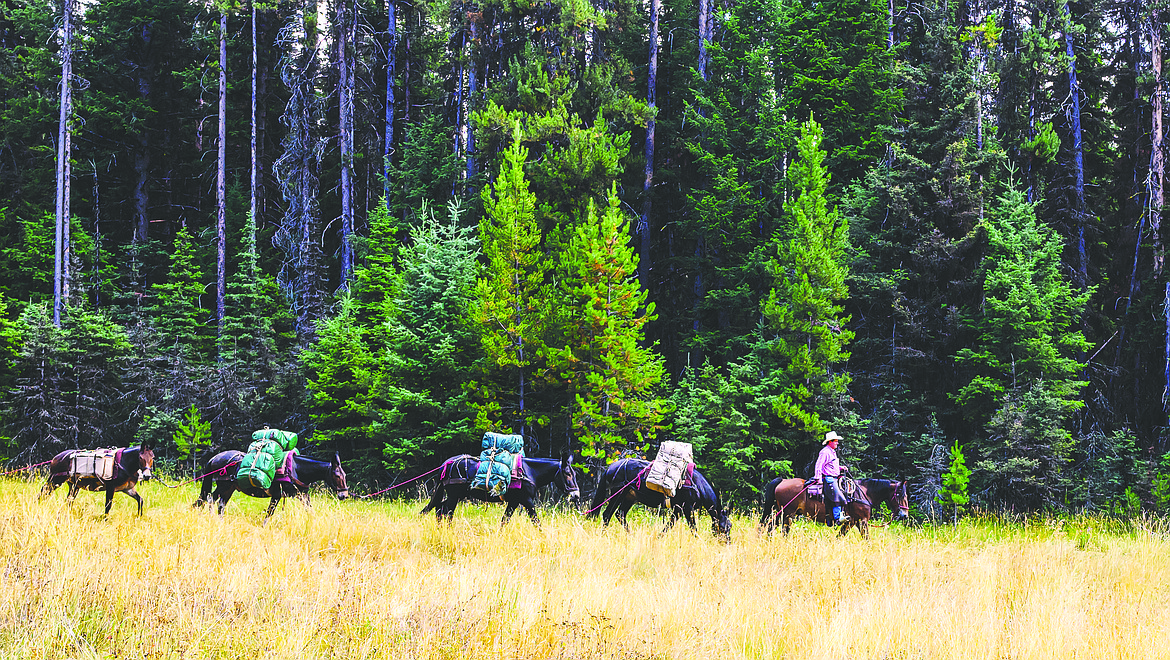 A packer goes by camp.