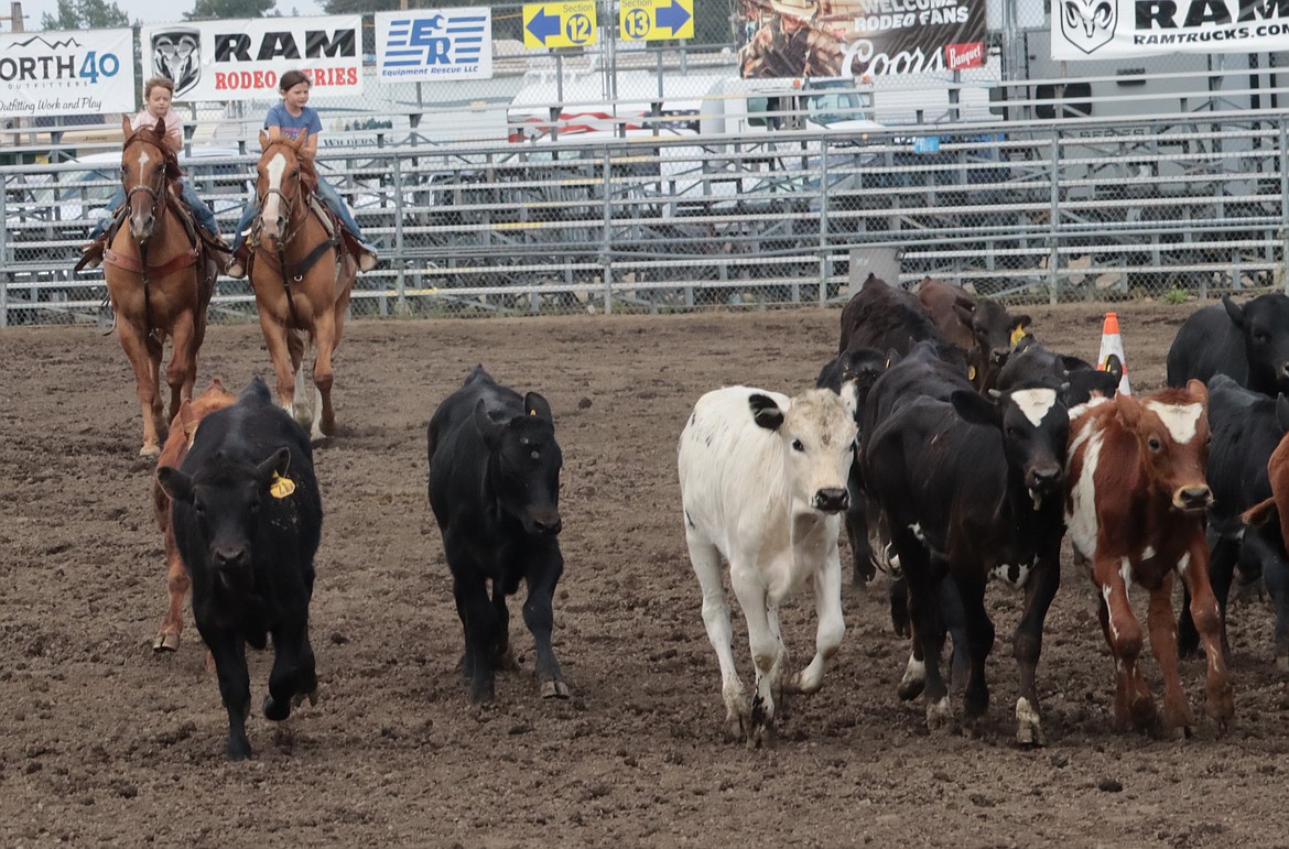 Sisters Mardi Moran, left and Macy Moran make sure calves for the North Idaho State Fair head to the gated pen on Wednesday.