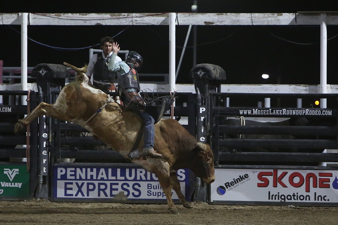 Bull rider Maverick Potter, from Waxahachie, Texas, took fifth in the bull riding competition at last week’s Moses Lake Roundup.