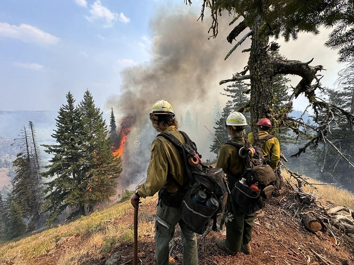 Firefighters watching for spot fires near the Cougar Creek fire on Aug. 8. The Cougar Creek fire is the third-largest blaze in Washington right now and is 80% contained.