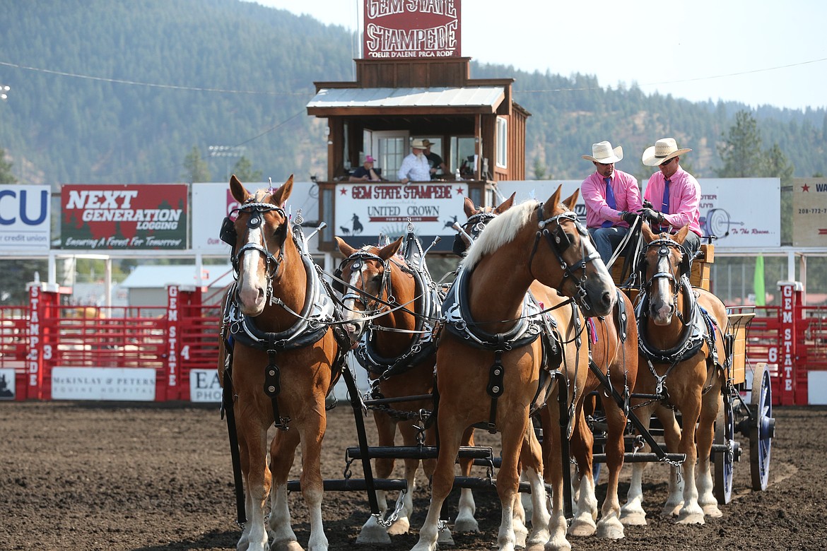 Brothers Brandon, left, and Riley Moore drive a team of six Belgian geldings Friday morning in the Finlay Arena during the draft horse performance events at the North Idaho State Fair.