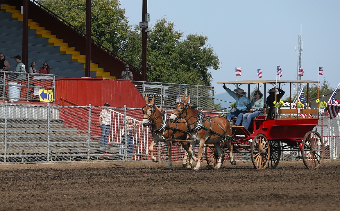 Benny and Phyllis Broyles, with equestrian student Jaxon Gihle in the back, wave to the crowd as their draft mules pull their wagon at the start of the draft horse events Friday morning at the fair.