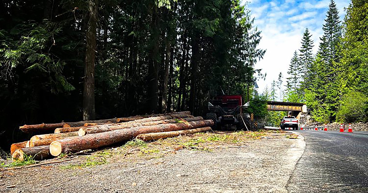 Dangerous trees removed from highways