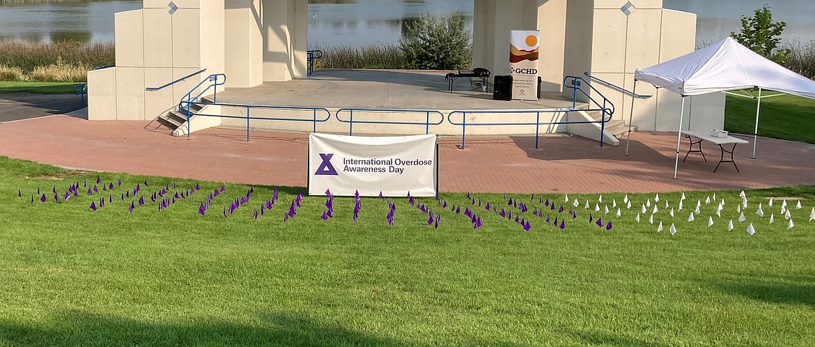 Flags dot the grass at McCosh Park during last year’s Community Resource Fair. The white flags represent lives lost to overdoses, and the purple ones represent lives saved with Narcan.