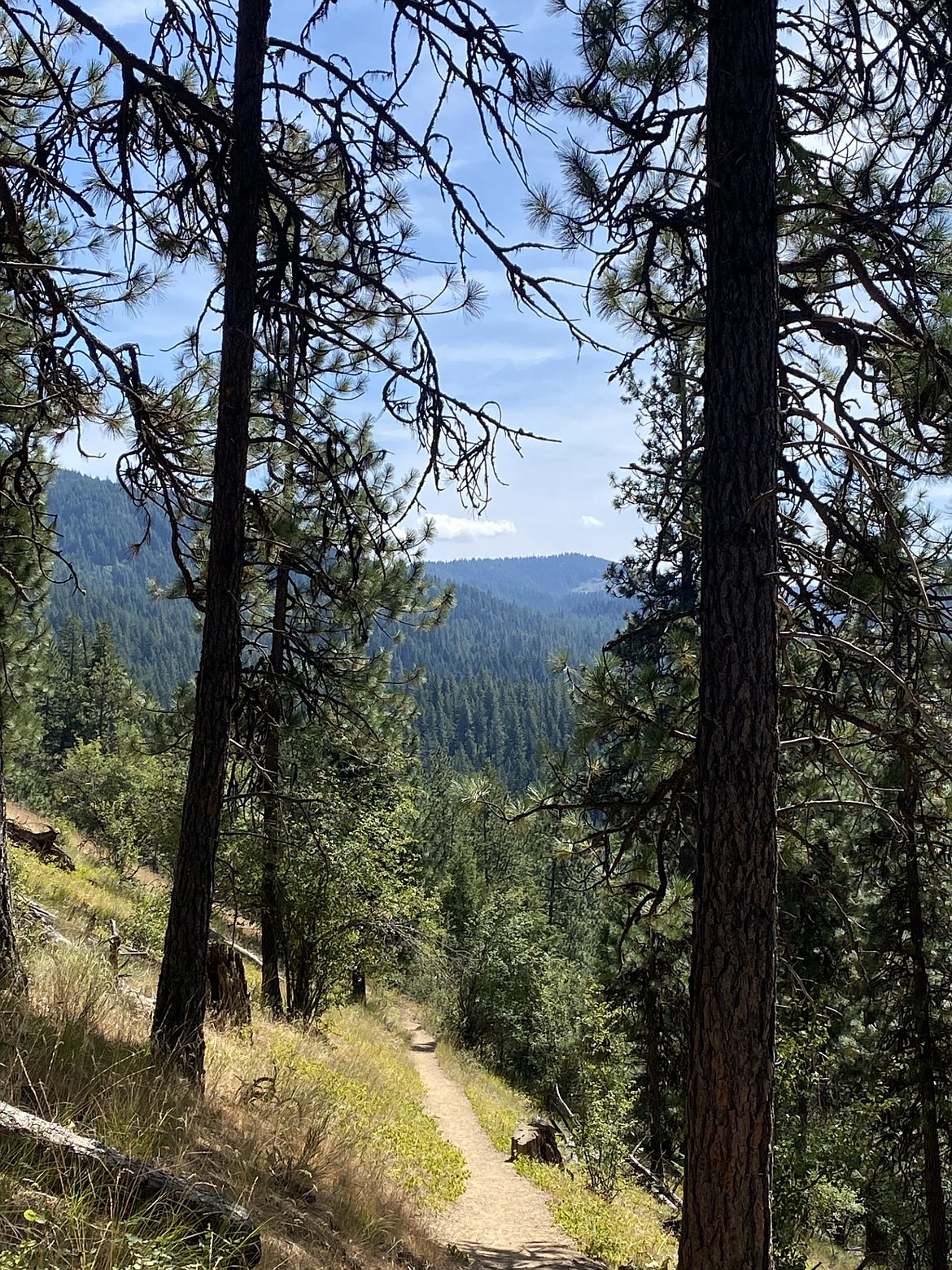 The Mineral Ridge Scenic Trail, off of State Highway 97 in Coeur d'Alene, offers rugged beauty just outside of town.