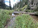 Hudlow Meadows area closed to public for habitat restoration project