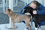 Dogs abandoned in Coeur d'Alene home