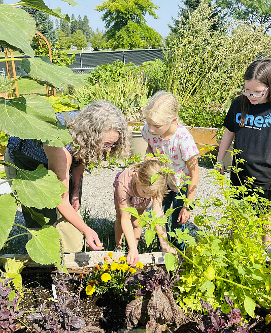 From left, Carol Behrens, Lacey Bitnoff, Bryn Bitnoff and Lyla Maestas work in the Skyway Elementary garden earlier this summer. The garden just received a $500 grant from the Coeur d'Alene Garden Club.