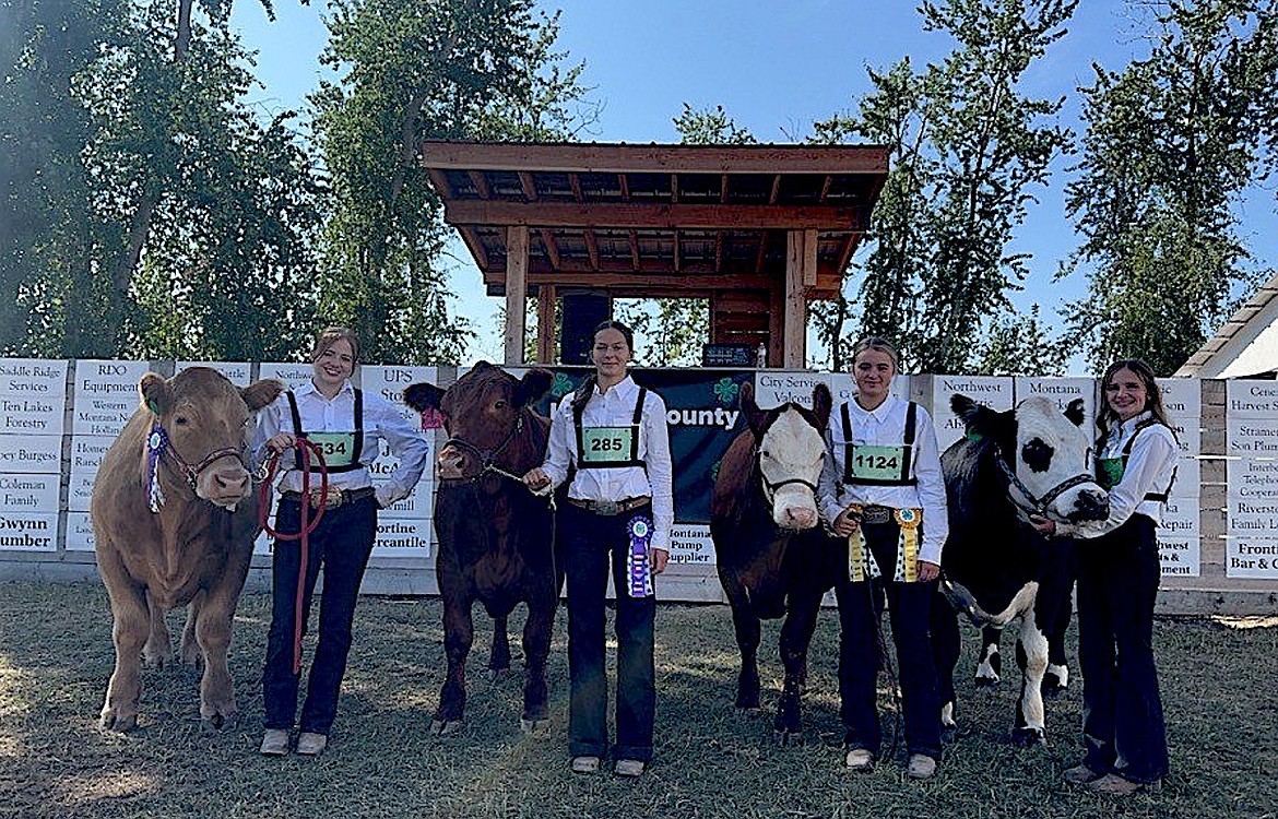 From left, are South 40 4-H club members Hailey Matthews, Jayva Boehmler, Bailey Haugan and Leah Matthews at the Lincoln County Fair in Eureka. All were Grand Champions in their respective events. (Photo courtesy Kara Matthews)