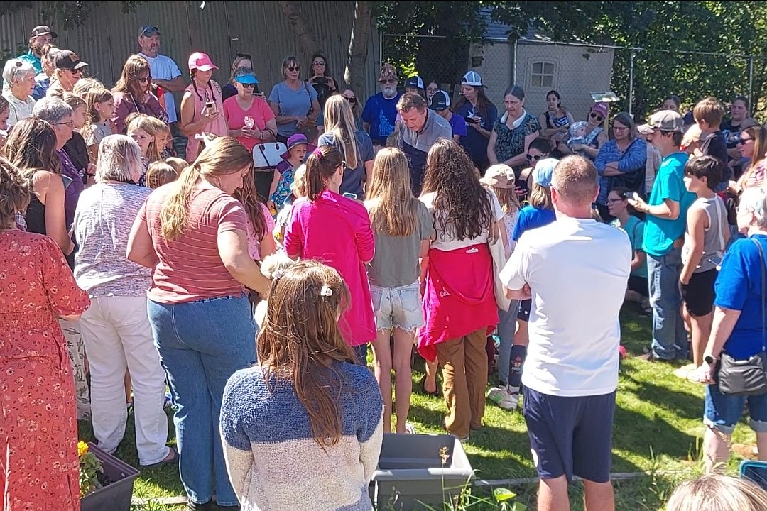 A large crowd gathered to watch monarch butterflies be released Thursday at Children's Garden in Rathdrum.