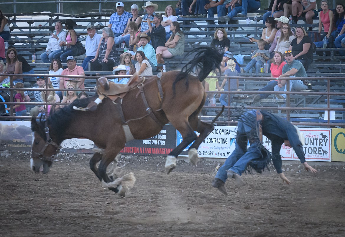 Bronc rider Hunter Haskins from Superior at the Sanders County Fair Rodeo. (Tracy Scott/Valley Press)