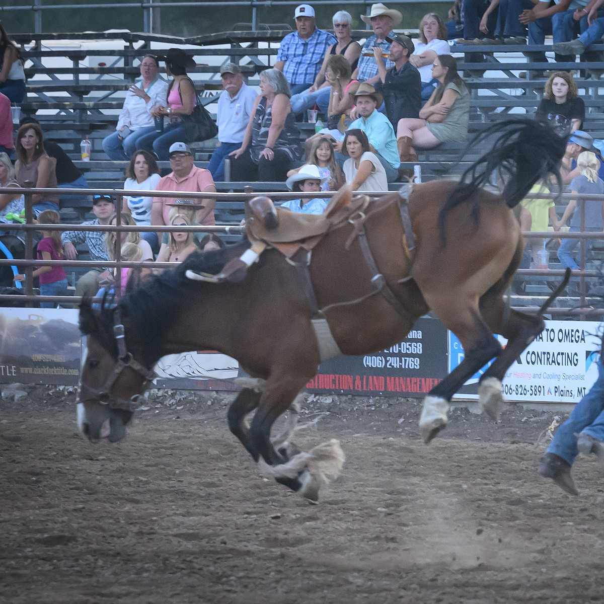 Sanders County Fair rodeo adds new event | Valley Press/Mineral Independent