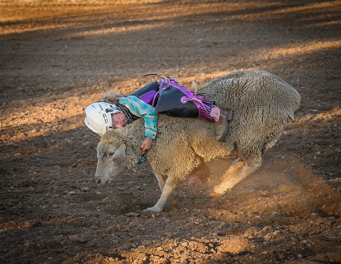 Reece Forkum hangs on during the Mutton Busting event at the Sanders County Fair. (Tracy Scott/Valley Press)