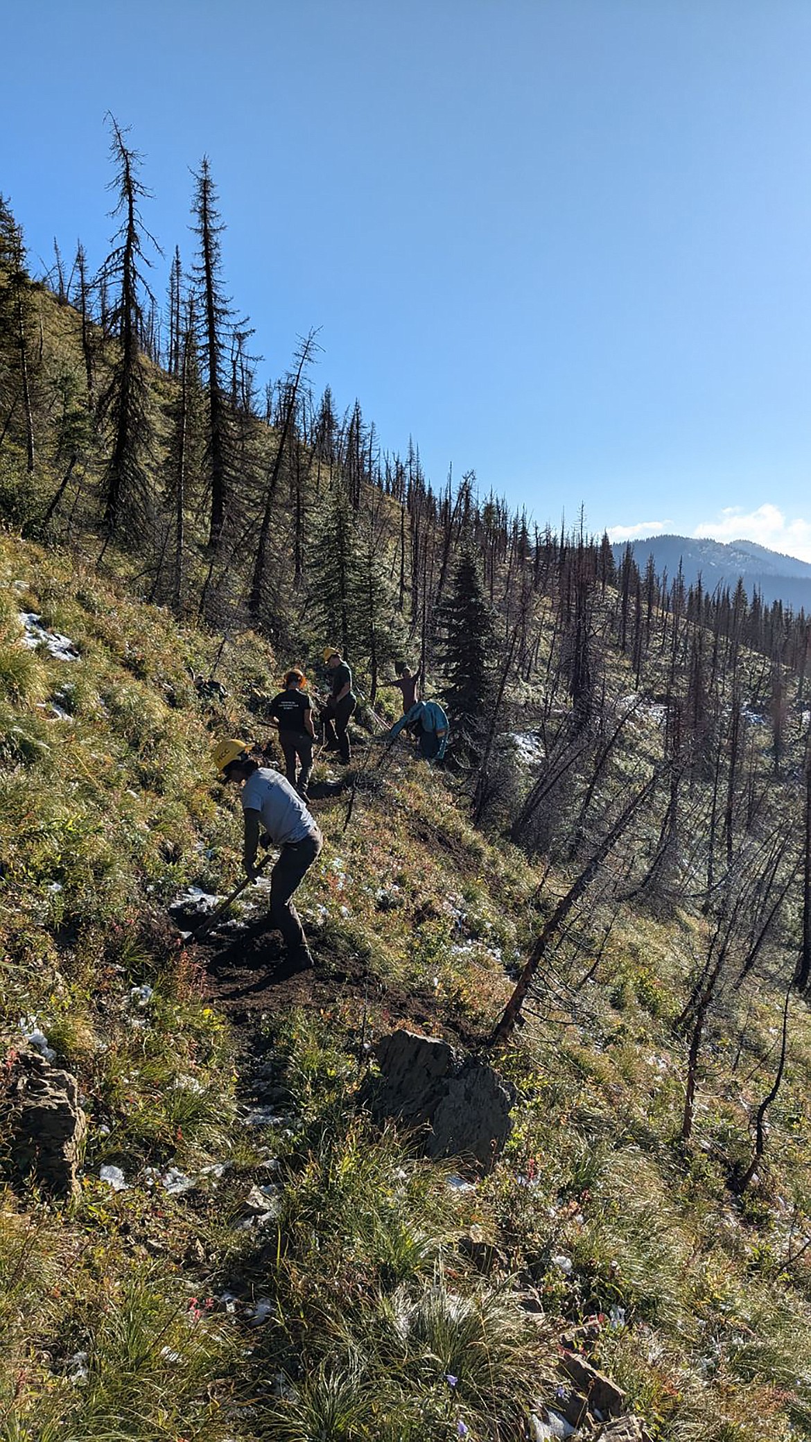 Trail crews work on the Taylor Hellroaring project near Big Mountain. (Photo provided)