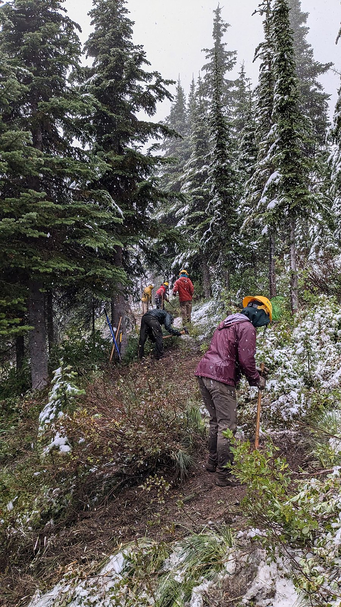 Trail crews work on the Taylor Hellroaring project despite the snow that fell last week. (Photo provided)