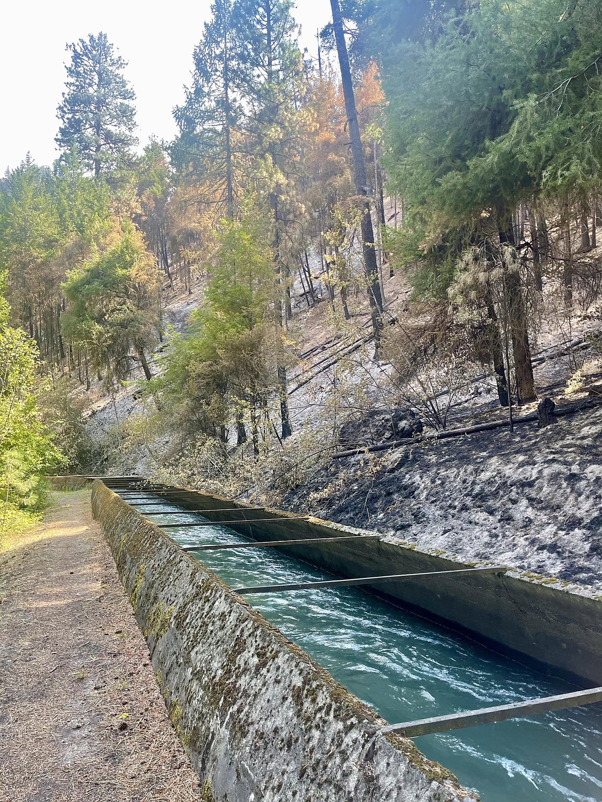 A canal at the Retreat Fire, which is the largest fire in WA at 45,601 acres and 85% containment.