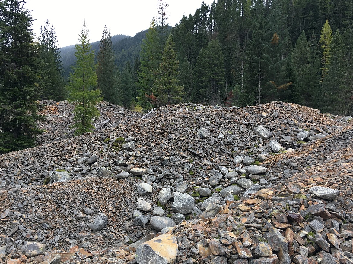 Historic mining in the area disrupted ecosystems significantly, but efforts to remediate Prichard Creek are underway.